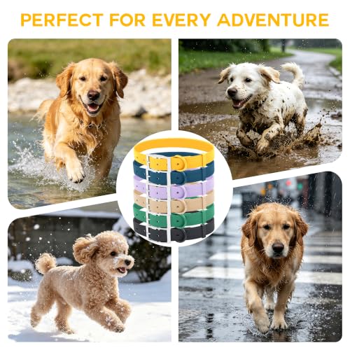 Wisedog Small Puppy Collar, Butter Yellow, XS 7"-10" × 1/2" | Soft Rubber Coated Webbing, For Small Dogs Cats, Cute Pet Collars - color: Butter Yellow