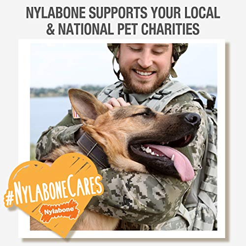 Nylabone Rib Bone Alternative Power Chew Toy for Dogs, Dog Toys for Aggressive Chewers, Beef Flavor, Large - Up to 50 lbs, 1 Count