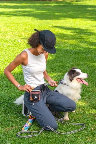 OllyDog, Goodie Treat Bag, Dog Treat Training Pouch | Magnetic Closure | 3 Ways to Wear | Hands-Free Waist Belt | Water-Resistant Recycled Vegan Fabric (Desert) - color: Desert