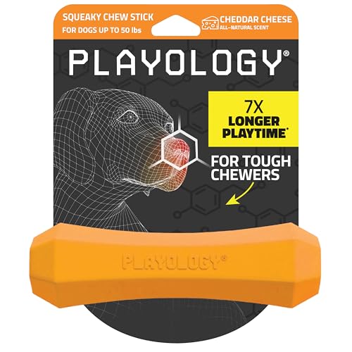Playology Dog Toys | Squeaky Chew Stick for Dogs | Cheddar Cheese Scented Medium Fetch Toy | Squeaky Dog Chew Toy - size: Medium, style: Cheddar Cheese