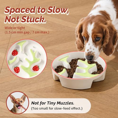 Ceramic Slow Feeder Dog Bowl - Portion Control Feeding Bowl for Medium Dogs – Cute Maze Food Dish for Fast Eaters - 3.1 Cups (310 g) - Doodle Series (Petal)