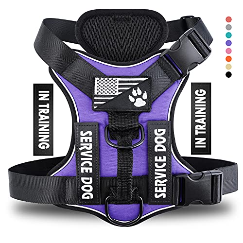 Service Dog Harness, Reflective Dog Vest Harness with 5 PCS Patches, Adjustable Soft Oxford Pet Harness, Inner Layer Mesh, Easy to Control for Dogs - color: Purple, size: X-Small (Pack of 1)