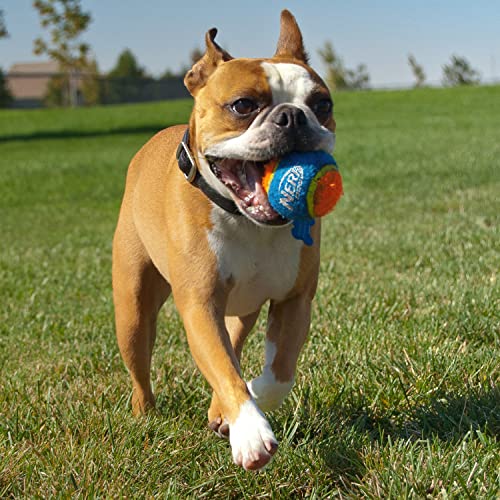 Nerf Dog 25in Translucent Air Strike Thrower, Dog Toy Gift Set with Five 2.5in Balls, Lightweight, Durable and Water Resistant, for Small/Medium/Large Breeds - size: 5 Piece Set