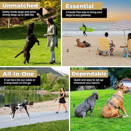 ROYAL PAW Dog Tie Out Cable and Stake 30ft - for Large Dogs up to 300 lbs - Heavy Duty Tether and Dog Stake for Yard, Beach & Camping Outside (Black, L/XL - 30ft) - size: L/XL - 30ft