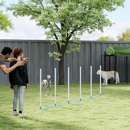 PawHut Adjustable Dog Agility Training Obstacle Course Set with Weaves Poles Storage Bag for Pet Dogs Outdoor Games Exercise