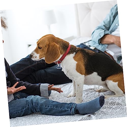 INOOMP 1set Dog Tag Clips Lobster Buckles with Dog Tag Clips and Easy to Install Lightweight for Pet Collars and Leashes