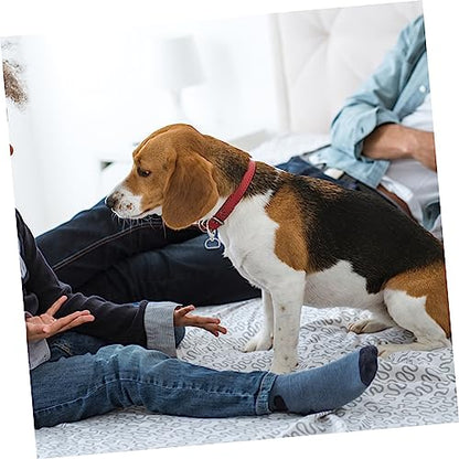 INOOMP 1set Dog Tag Clips Lobster Buckles with Dog Tag Clips and Easy to Install Lightweight for Pet Collars and Leashes