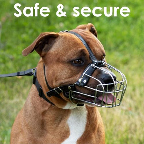 BRONZEDOG Pitbull Dog Muzzle Metal Mask Amstaff Wire Basket Pit Bull Adjustable Leather Straps for Large Dogs (Brown) - color: Leather, Brown Metal