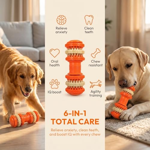 Dog chew Toys, Suitable for Teething Pets, Durable, and Good for Dental Cleaning. Interactive Dog Toys for Small, Medium, and Puppy chewers. - color: Dumbbell