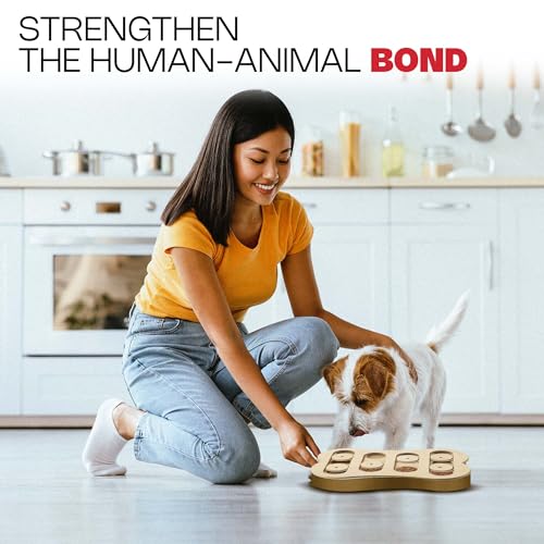 SPOT Interactive Seek-A-Treat Shuffle Bone Dog Toy Puzzle | Dog Treat Reward Toy Improves Your Dog's IQ | Specially Designed for Training Treats