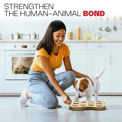 SPOT Interactive Seek-A-Treat Shuffle Bone Dog Toy Puzzle | Dog Treat Reward Toy Improves Your Dog's IQ | Specially Designed for Training Treats