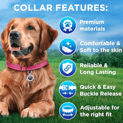 TECEUM Reflective Dog Collar – Hot Pink – XXS – Extra Soft Padding – Basic Nylon Pet Collar – Quick Release Buckle – Fits Small, Medium and Large Dogs, Puppies, Cats – ESA & Service Dog Options - color: Hot Pink, size: XX-Small
