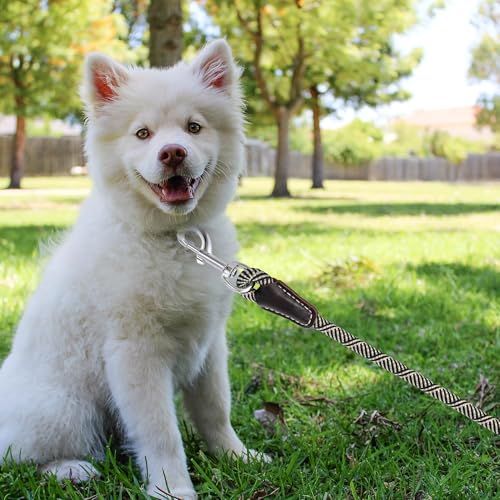 Mile High Life Dog Leash, Rope Leash with Genuine Leather Handle and Heavy Duty Metal Clasp, Great for Small Medium Large Dogs (Black Beige, 4FT) - color: Leather Handle-Black Beige, size: 48 Inch-1/2"
