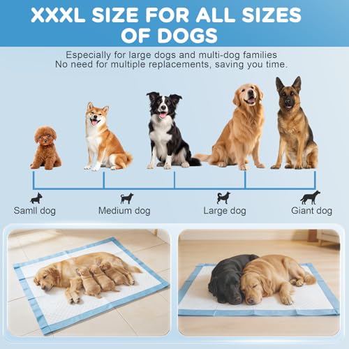 iweepet 4XL Puppy Pads 36"x51" 40 Count, Pee Pads for Large Dogs & Multi-pet Families, Ultra Absorbent & Quick-Dry, Disposable Pet Training Pads for Doggie, Cat , Leakproof Incontinence Underpads - size: 36"x51" Blue(40counts)