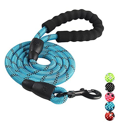 Dog Leash 5 FT with Comfortable Padded Handle, Highly Reflective Threads Dog Leash for Medium Large Dogs, 1/2 inch, Blue - color: BLUE 5FT