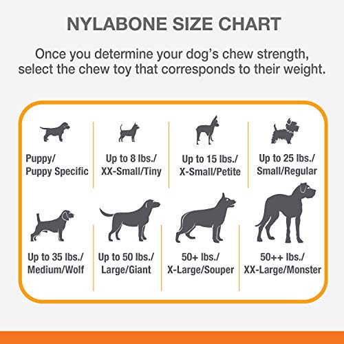 Nylabone Rib Bone Alternative Power Chew Toy for Dogs, Dog Toys for Aggressive Chewers, Beef Flavor, Large - Up to 50 lbs, 1 Count