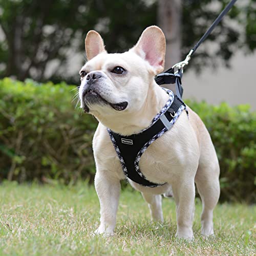 Mercano Soft Mesh Dog Harness and Leash Set, Step-in Reflective Breathable Lightweight Vest Harnesses with Safety Buckle for Small Dogs, Cats (Black White, XXS) - color: Black White, size: XXS (Chest: 9.5"-11.2")