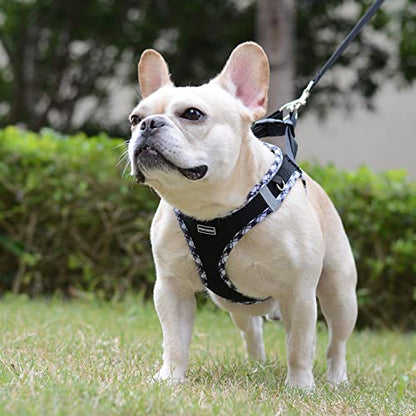 Mercano Soft Mesh Dog Harness and Leash Set, Step-in Reflective Breathable Lightweight Vest Harnesses with Safety Buckle for Small Dogs, Cats (Black White, M) - color: Black White, size: M (Chest: 15.2"-17.5")