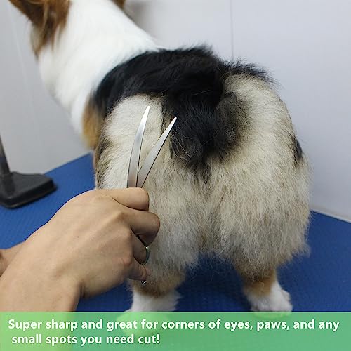 HASHIMOTO Curved Scissors for Dog Grooming, Dog Grooming Scissors Curved, Extremely Light Weight, 6.5 inch, 30 Degree of Curved Blade, Matt Surface. - size: 6.5", style: Curved (Super Lightweight)