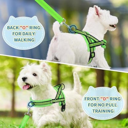 Lukovee No Pull Dog Harness and Leash Set, Soft Padded Small Dog Harness, Neck & Chest Adjustable Reflective Vest Puppy Harness with 4ft Lightweight Anti-Twist Dog Leash for Small Dogs (XXS, Green) - color: Green - with Stripe, size: XXS ( Chest 11.5'' ~