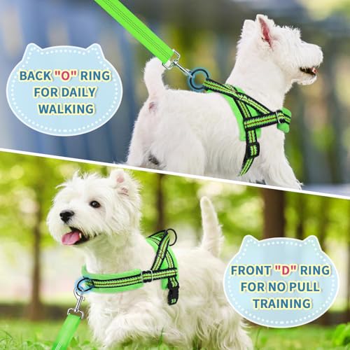 Lukovee No Pull Dog Harness and Leash Set, Soft Padded Small Dog Harness, Neck & Chest Adjustable Reflective Vest Puppy Harness with 4ft Lightweight Anti-Twist Dog Leash for Small Dogs (S, Green) - color: Green - with Stripe, size: S ( Chest 17.5'' ~ 22''