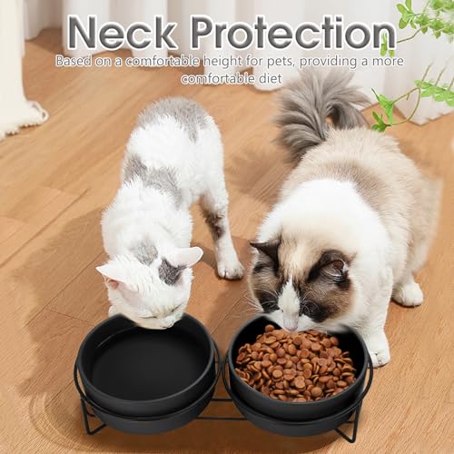 Ceramic Dog and Cat Bowl Set with Stand, 3.6 Cups Dog Food and Water Bowl Suitable for Small and Medium Pets (28.7oz Black) - color: Black, size: 28.7oz