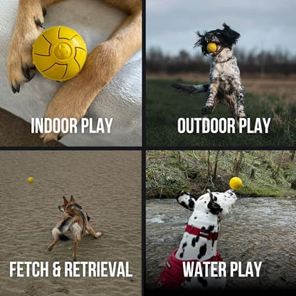 Fenrir - Dog Ball - High Bouncing Yellow Rubber for Fetch & Recall - 2.5 Inch Durable Floating Dog Toy - Water Retrievable Interactive Ball for All Breeds (Medium)