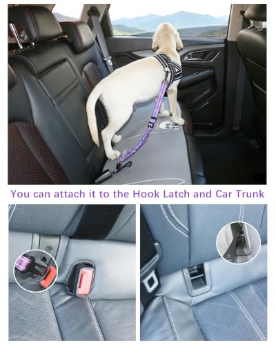 AUBELL Dog Seat Belt for Car,2 Pack Set 3-in-1 Adjustable Reflective Bungee Heavy Duty Dog Car Harness Tether with Clip Hook Latch & Buckle,Swivel Zinc Alloy Carabiner,Black+Purple - color: Set Black+Purple