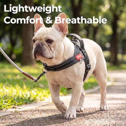 No Pull Dog Harness with Handle, Reflective Dog Vest, Black, M | Adjustable, Front Leash Clip, Safety Lock Buckle, Breathable Mesh Padded, Quick Fit, for Boston Terrier & Small Dogs - color: Black, size: Medium