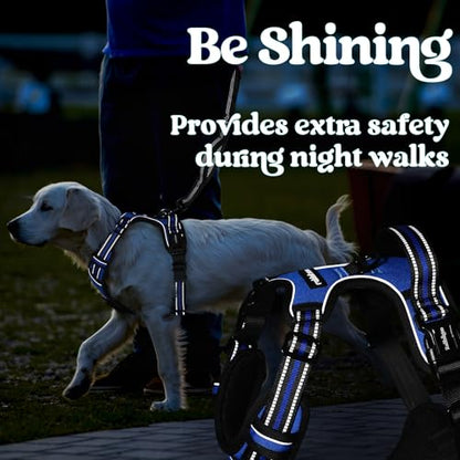 rabbitgoo Dog Harness Small Sized, No Pull Easy On & Off with 3 Buckles Pet Harness, Adjustable Soft Walking Vest with 2 Clips and Handle, Reflective for Small Dogs, Blue, S - color: Blue, size: Small
