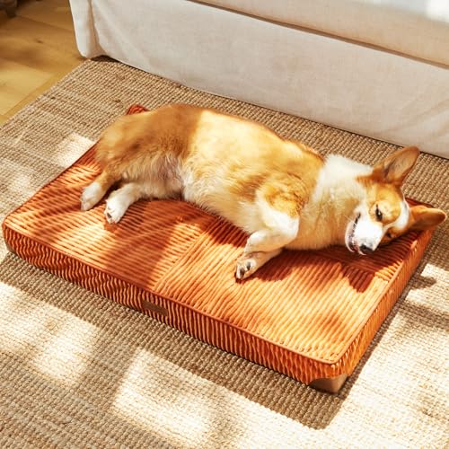 FUKUMARU Dog Bed, Thickened Corduroy Orthopedic Dog Beds with Washable Cover, Large Waterproof Dogs Bed for Crate, 28D Egg Crate Foam Support Pet Mat, Cozy Pet Bed Pad with Anti-Slip Bottom, Orange - color: Orange, size: 36"L x 22"W x 3.5"Th
