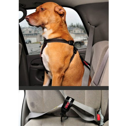 EzyDog Universal Dog Seat Belt Restraint for Cars – Durable Easy to Use Seatbelt Attachment for Dog Harness with Superior Strength and Nylon Webbing