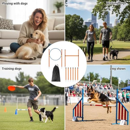 Dog Agility Equipment - Agility Game with Tunnel, Interactive Pet Training Course Set, Exercise Obstacle Activity Kit | Outdoor Garden Park Beach for Playground Field Competition - color: B