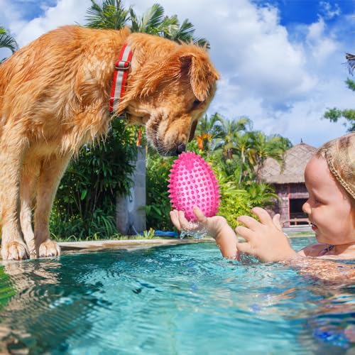 Gemscream 6 Pcs 4.5'' Spiky Squeaker Football Dog Toy for Medium Large Dogs Heavy Duty Rubber Chew Toys for Aggressive Chewers Spiky Ball Fetch for Training Clean Teeth Outdoor - style: Classic