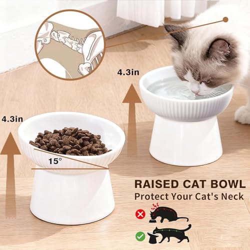 Elevated Cat Food Bowl, Ceramic Raised and Tilted Water Bowl, Whisker Fatigue Cat Bowls for Indoor Cats, Anti Vomiting and Protect Spines Pet Feeding Dishes for Kittens Small Dog, Heavy Non-Slip Base - color: White