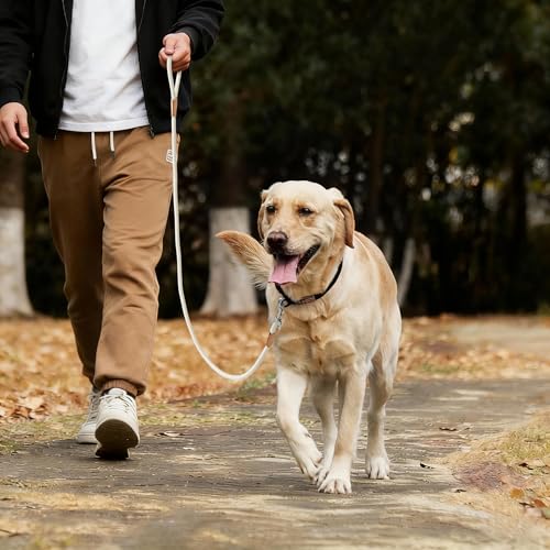 Mile High Life Dog Leash, Rope Leash with Genuine Leather Connection and Heavy Duty Metal Clasp, Great for Small Medium Large Dogs(Cream White,48 Inch) - color: Rope Handle-Cream White, size: 48 Inch-1/2"