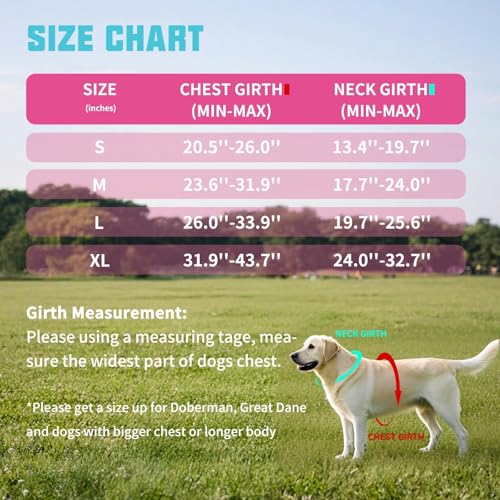 AUROTH Dog Harness and Leash Set, Soft Padded Service Dog Vest with 5.25FT Dog Leash, No Choke, Easy On Pet Vest, Adjustable Reflective No Pull Pet Vest Medium Sized Dog, Easy Walking and Training - color: Rose Red, size: Medium