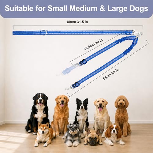 Double Dog Leash for Two Dogs, Complete Set with 31.5" Main Leash + Adjustable Splitter, Padded Handle, D-Ring, 360° Swivel, Shock-Absorbing Bungee, Reflective for Small Medium Large Dogs (Blue) - color: Blue