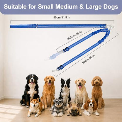 Double Dog Leash for Two Dogs, Complete Set with 31.5" Main Leash + Adjustable Splitter, Padded Handle, D-Ring, 360° Swivel, Shock-Absorbing Bungee, Reflective for Small Medium Large Dogs (Blue) - color: Blue