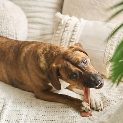 SPOT Bam-Bones Plus Coffee Wood T-Bone Dog Chew Toy, Beef Flavor, Nylon and Coffee Wood Fiber Blend, Durable Chew for Heavy Chewers and Dogs Under 90 lbs, Non-Splintering Dental Chew, 7 Inch - size: 7 Inch (Pack of 1)