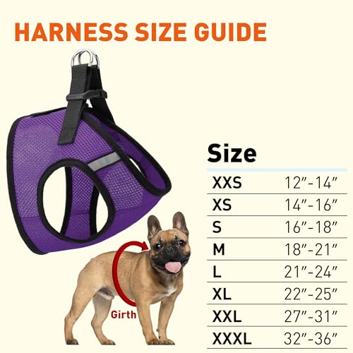Dogline Boston Step in Mesh Dog Harness with Service Dog Patch No Choke Pet Vest Soft Gentle Padded Chest Halter for Puppies Small Medium and Large Dogs 21 to 24 inches Girth Purple - color: Purple, size: Girth 21 to 24"