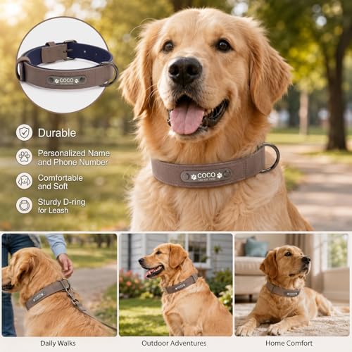 Personalized Anti-Lost Leather Dog Collar with Engraved Nameplate | Heavy duty metal buckle and clear laser marked ID. Features a smooth leather lining to protect fur during daily walks. - size: M: Adjustable Neck 10.63-13.78", Width 0.79"
