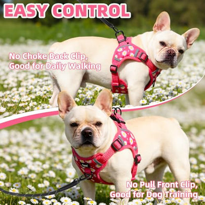 PUPTECK Dog Harness Small Sized Dog, Step in Adjustable Reflective Dog Vest Harness Escape Proof, No Pull Soft Padded Harness Easy Control, Fuschia, S - color: Fuschia(Daisy), size: S (CHEST: 13"-18")