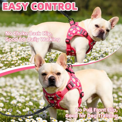 PUPTECK Dog Harness Small Sized Dog, Step in Adjustable Reflective Dog Vest Harness Escape Proof, No Pull Soft Padded Harness Easy Control, Fuschia, M - color: Fuschia(Daisy), size: M (CHEST: 14.5"-20")