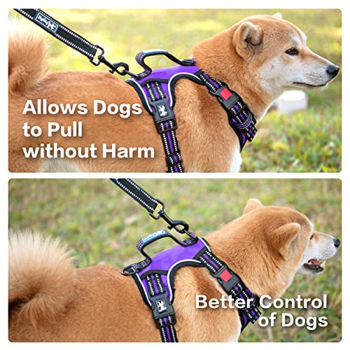 PoyPet No Pull Dog Harness, No Choke Front Clip Reflective Dog Vest with Soft Padded Vertical Handle, 3 Leash Attachments for Small Medium Large Dogs (Purple,XL) - color: Purple, size: Extra Large
