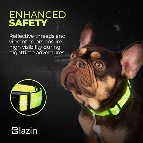 BLAZIN Reflective Dog Collar - Vibrant Color for Day and Night - Soft Neoprene Padded Collar - Adjustable Sizing -'Color Me Happy!' Dog Collars - Brighter Means Safer - (Small, Orange)