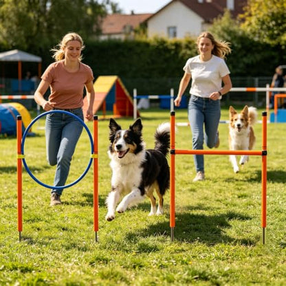 Dog Agility Equipment - Agility Game with Tunnel, Interactive Pet Training Course Set, Exercise Obstacle Activity Kit | Outdoor Garden Park Beach for Playground Field Competition - color: B