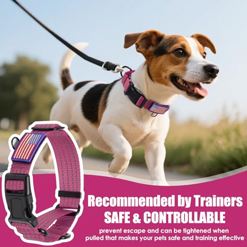 Martingale Dog Collar, Reflective No Pull Training Collar with Quick Release Buckle & USA Flag, Heavy-Duty Nylon, Adjustable for Small Medium Large Dogs (L,Hot Pink - color: Hot Pink with Flag, size: L (1" x 19"-26")