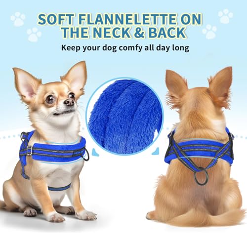 Lukovee No Pull Dog Harness and Leash Set, Soft Padded Small Dog Harness, Neck & Chest Adjustable Reflective Vest Puppy Harness with 4ft Lightweight Anti-Twist Dog Leash for Small Dogs (XXS, Blue) - color: Blue, size: XXS ( Chest 11.5'' ~ 15'')