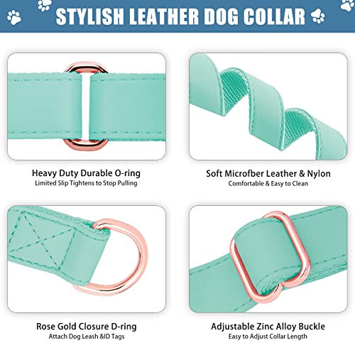 Soft Leather Martingale Dog Collar - Adjustable Rose Gold Limited Slip Collars [Easy to Clean], Stylish Durable Heavy Duty Nylon No Pull Training Collar for Small Medium Large Dogs XS Mint Green - color: Mint Green, size: XS (Neck 8"-11", Width 3/5")